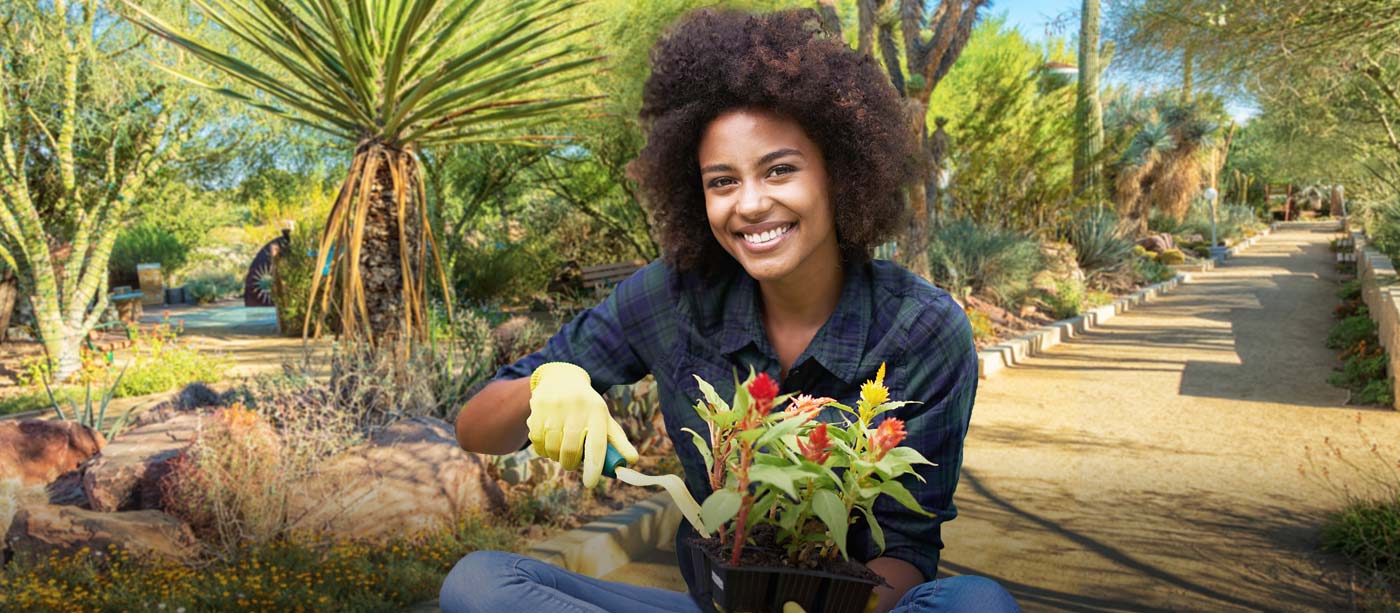 Desert Gardening 101