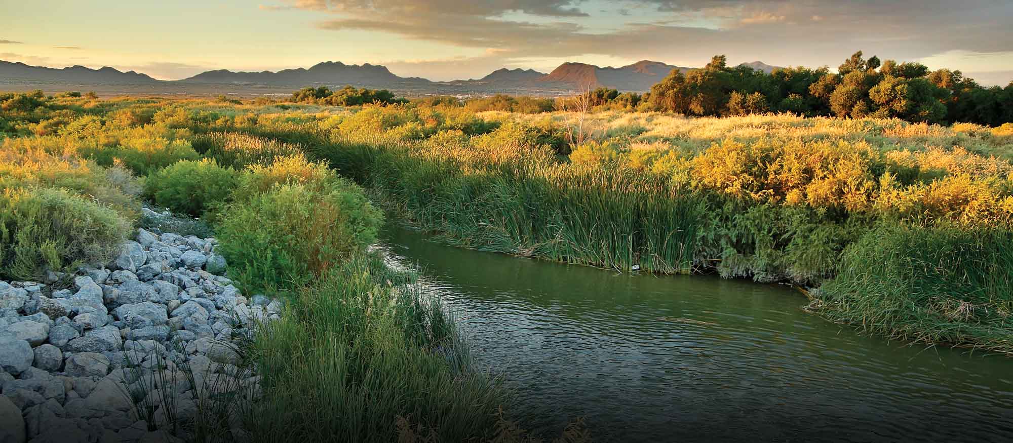 Conservation for Kids: Wild Wetlands