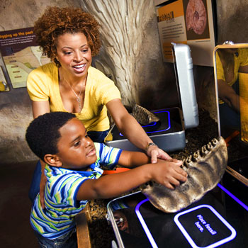 Adult and child interacting with an exhibit at a museum, touching a fossil replica.