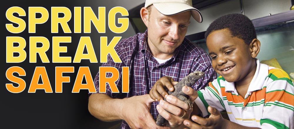 Adult and child participate in the Spring Break Safari event, smiling as they gently handle a small lizard.